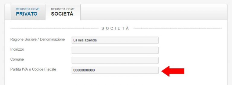 Si può effettuare la ricerca di una partita iva dal nome?